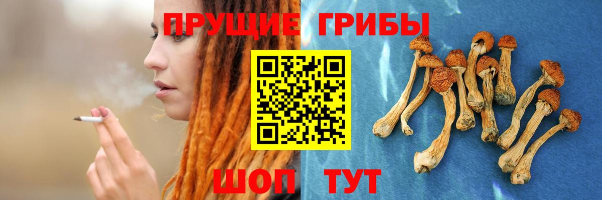 Псилоцибиновые грибы мухоморы  как найти закладки  Моздок  Вход с VPN 